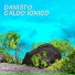 Danisto