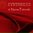 Synthesis feat. Naum Petreski