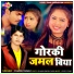 Dhamu Babu
