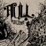 Hull