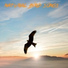 Bird Songs feat. Forest Sounds