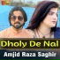 Amjid Raza Saghir