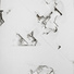 EE1