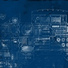 Blueneck