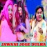 Guddu Rangeela
