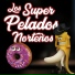 Los Super Pelados Norteños