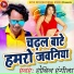 Robin Rangeela
