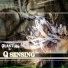 Qsensing
