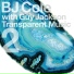 BJ Cole feat. Guy Jackson