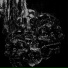 Vermin Womb