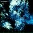 D-Forest