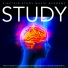 Einstein Study Music Academy