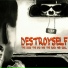 Destroyself