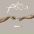 Alecho