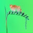 Flume