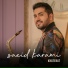 Saeid Karami