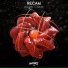 Recam