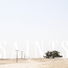 Metro Church Australia (Saints)