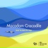 Macadam Crocodile