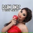 Dian Anic