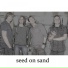 Seed On Sand