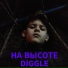 DIGGLE