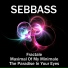 SEBBASS