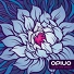 05 - Opiuo