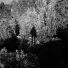 Panoram