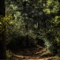 Nature Sounds Nature Music, Rainfall, Sleepy Times