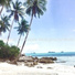 Tropical Christmas Background Music