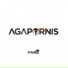 Agapornis