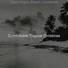 Comfortable Tropical Christmas