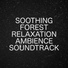 Ambient Nature White Noise