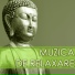 Muzica de Relaxare Star