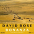 David Rose and his Orchestra