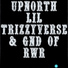 Lil Trizzyverse feat. GnD of RWR