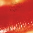 The CURE - Kiss Me, Kiss Me, Kiss Me (1987)
