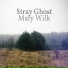 Stray Ghost