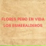 Los Esmeralderos