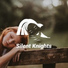 Silent Knights
