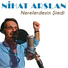 Nihat Arslan