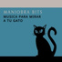 Maniobra Bits