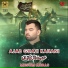 Mesum Abbas