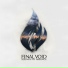 Final Void
