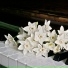 Piano Sad & Relaxing Zone