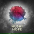 Hushi