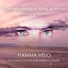 Fiamma Velo, Marco Decimo, Quartetto Ghelos