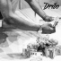 Dribo