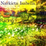 Narkicta Isabella